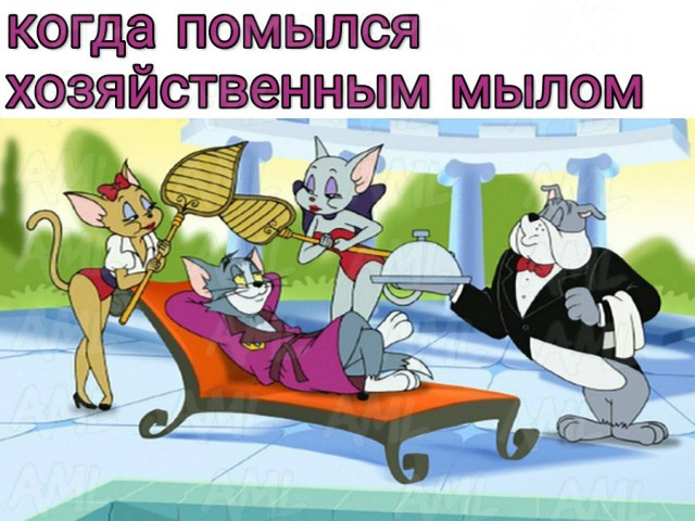 Нас преследует лёгкая деградация Япа