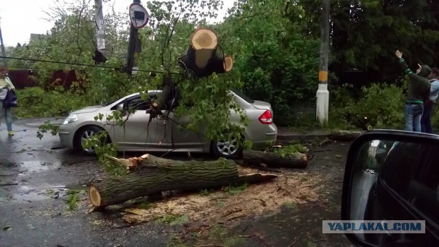 В Москве ураган!