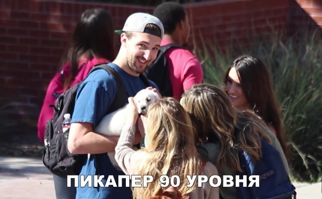 Нестандартный юмор
