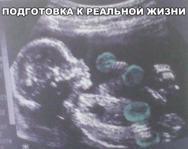 Прикольные картинки обо всём