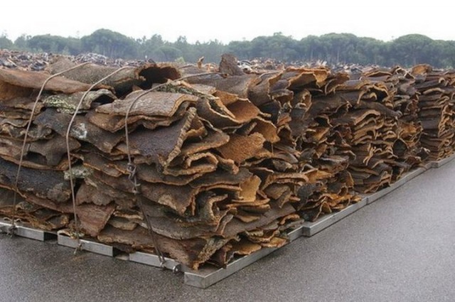 Из чего и как делают пробку