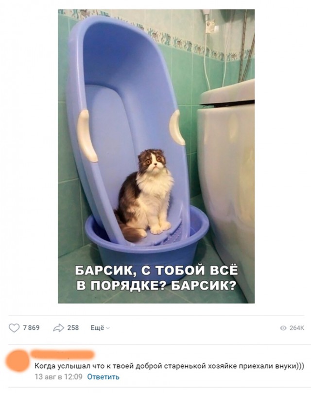 Немного милоты