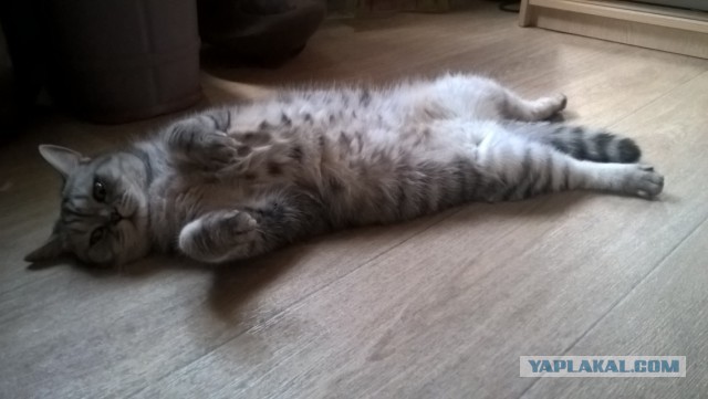Начинающим самогонщикам