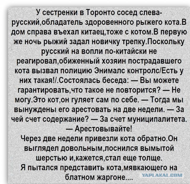 Немного картинок на вечер