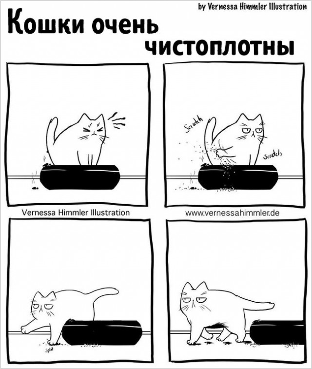 Подборка интересных и веселых картинок