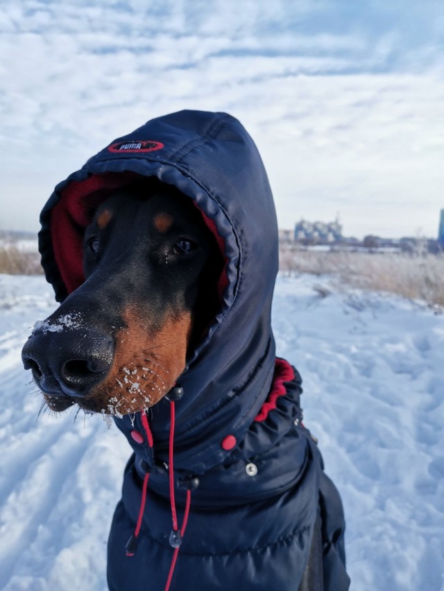 Подборка интересных и веселых картинок 04.01.19