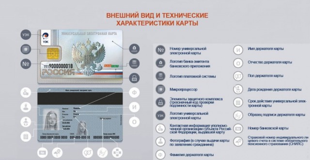 Чипирование людей. Начало