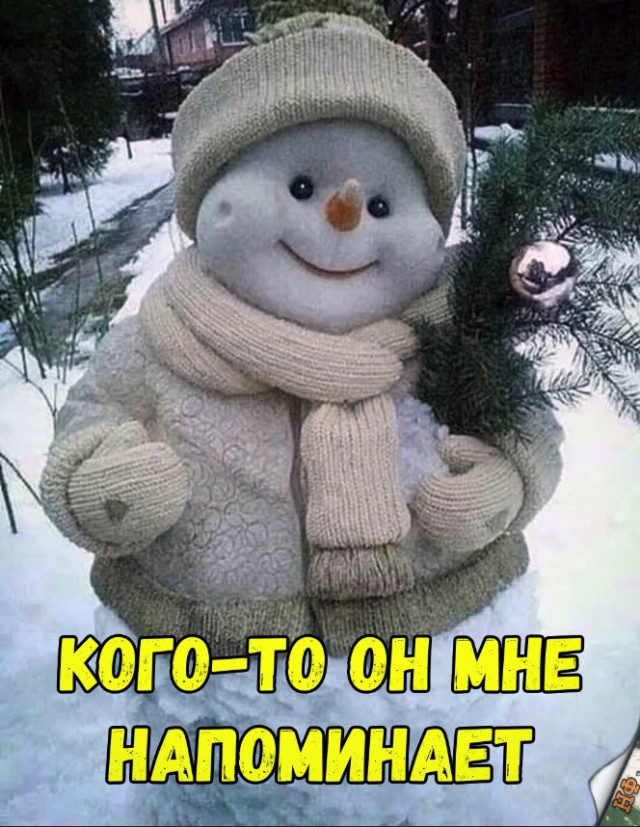 Прикольные картинки абавсём