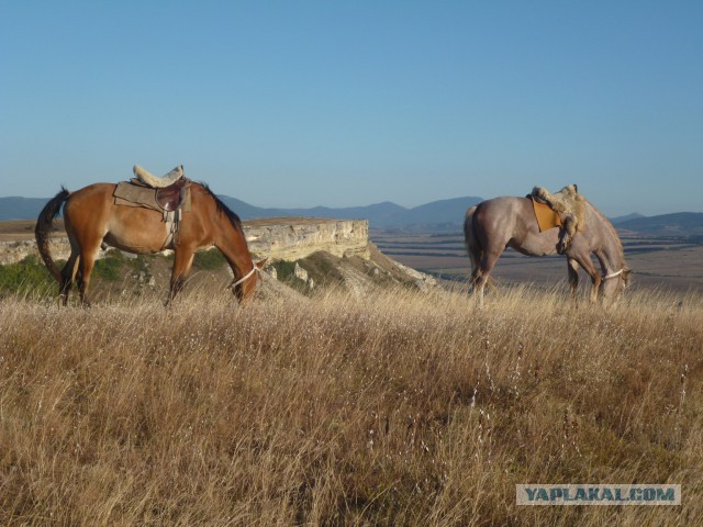 Райские пейзажи Крыма