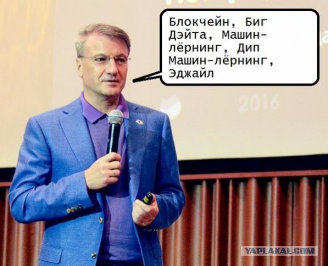 "Пьют водку десятками литров". Россиянка о жизни в Шотландии