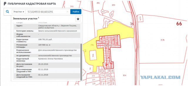 Мэрия продала за 100 тыс. рублей частнику лес на берегу озера под Ебургом