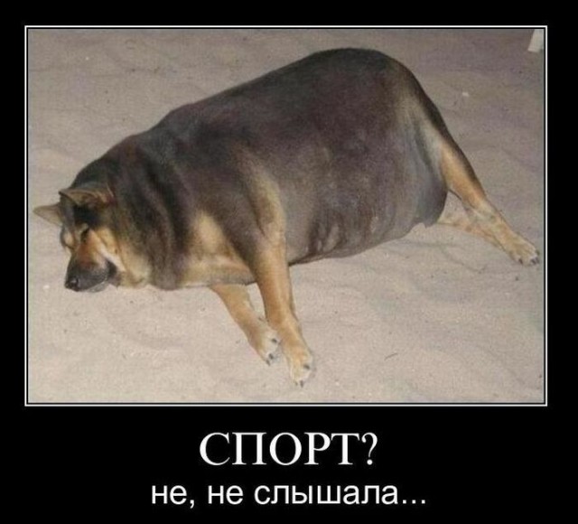Демки и ностальджи