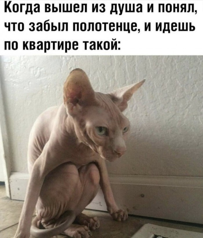 Подборка интересных и веселых картинок 03.06.19