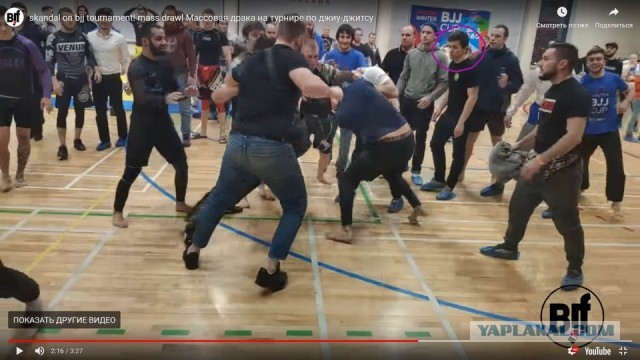 Турнир по джиу-джитсу в Подмосковье закончился массовым побоищем 