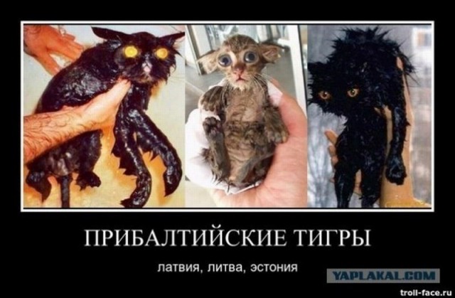 Не плюй в колодец: До свидания, соседи, ваши шпроты больше не нужны!