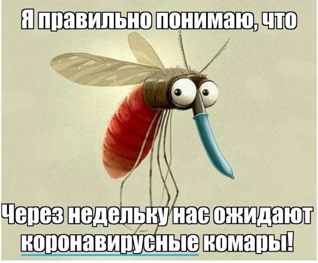 Перлы - 04.05.20
