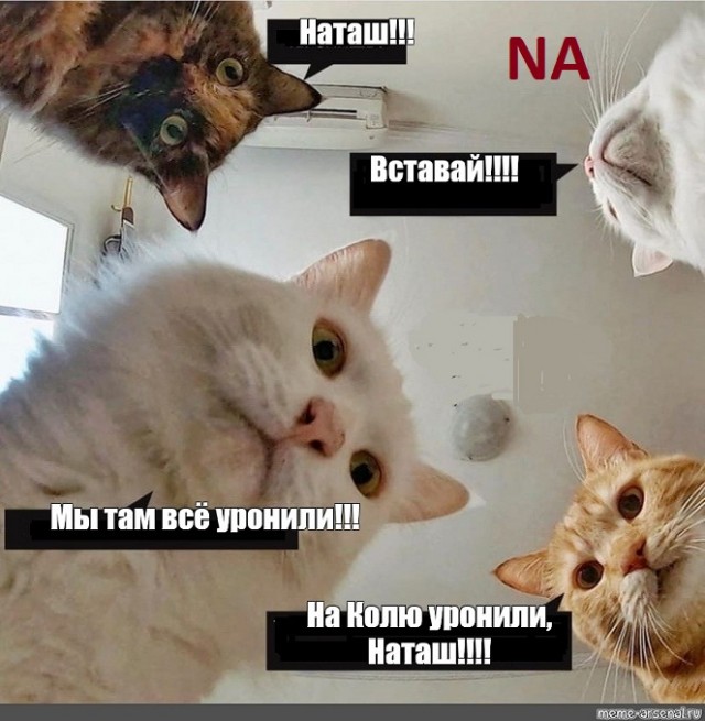 Периодическая система кото-элементов