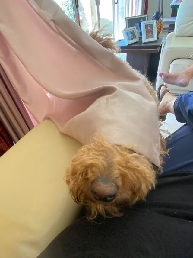 Подборка забавной живности