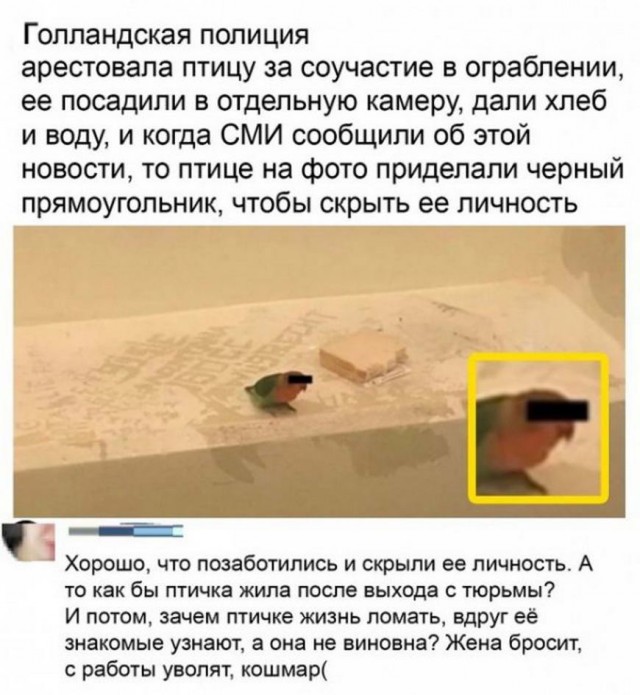 Картинки с надписями и всякие жизненные фразы 16.1.21