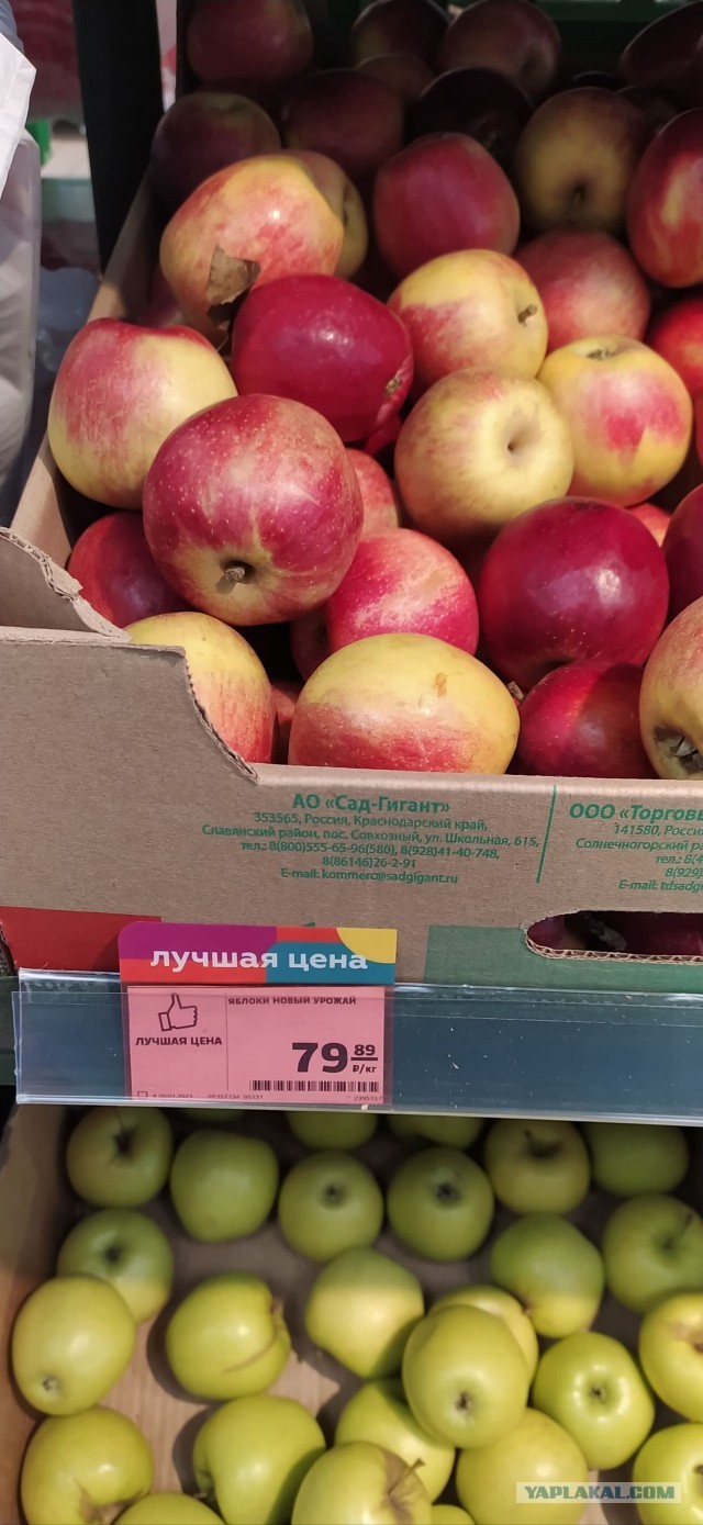 Цены на продукты на ростовском "Центральном рынке"