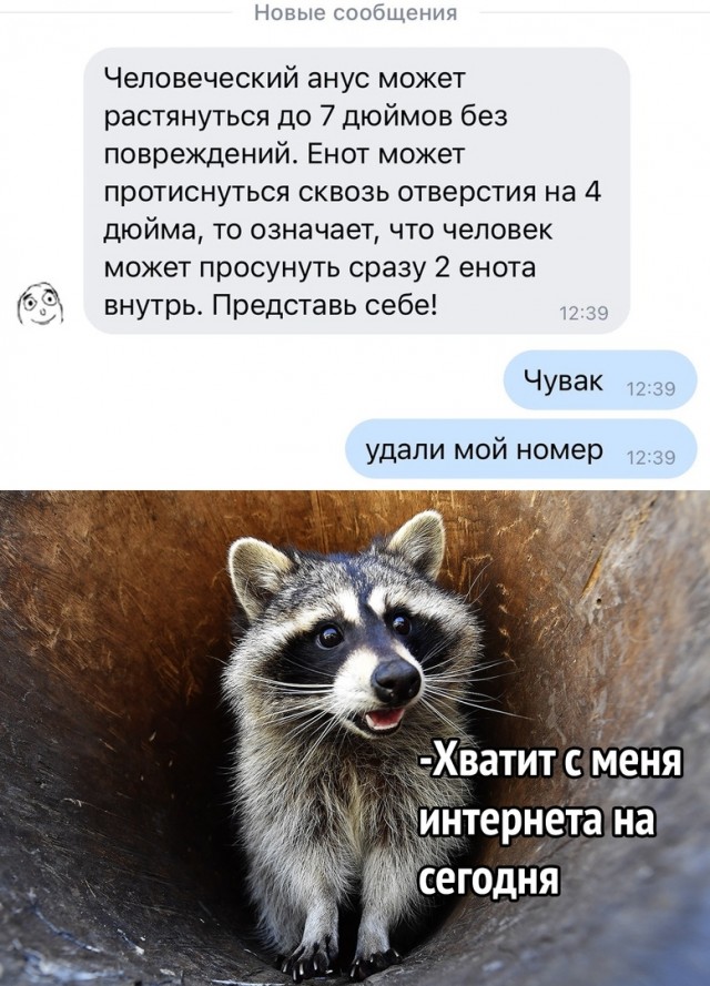 Весёлый полтишок 1.03