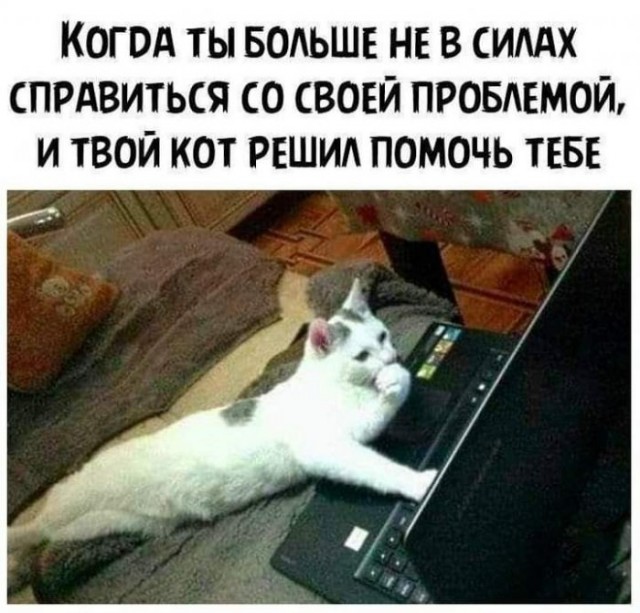 Картинки и мемы для настроения 05.03.2021