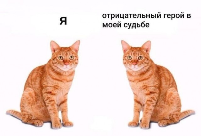 Так себе картинки 14.03.21
