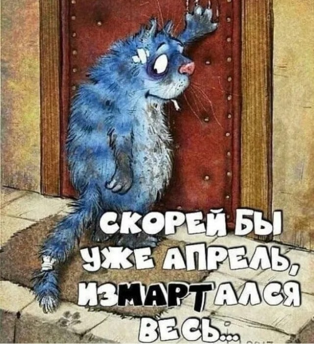 Весёлый полтишок 19.03