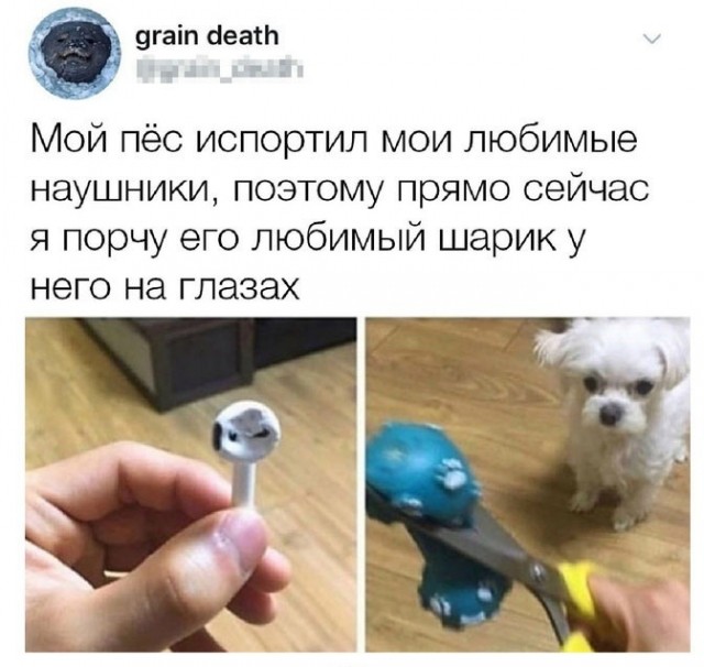 Так себе картинки 05.04.21
