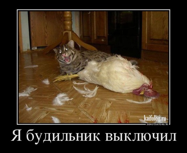 Как правильно варить пельмени