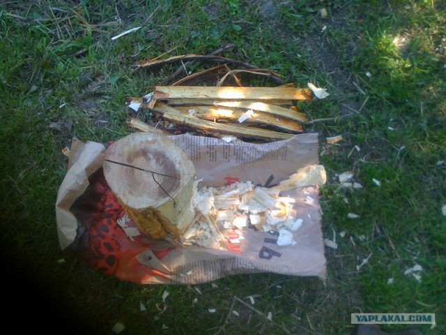 Все из рыбы!