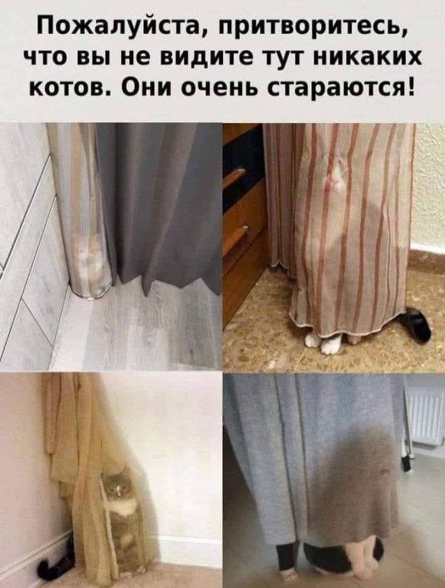 Всяческие картинки 29.06.2021