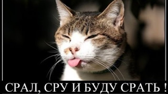Баянисто-небаянистый юмор 23.08.21