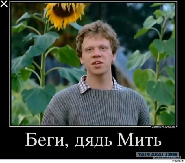 Мужики, съезжаться с девицей или нет?