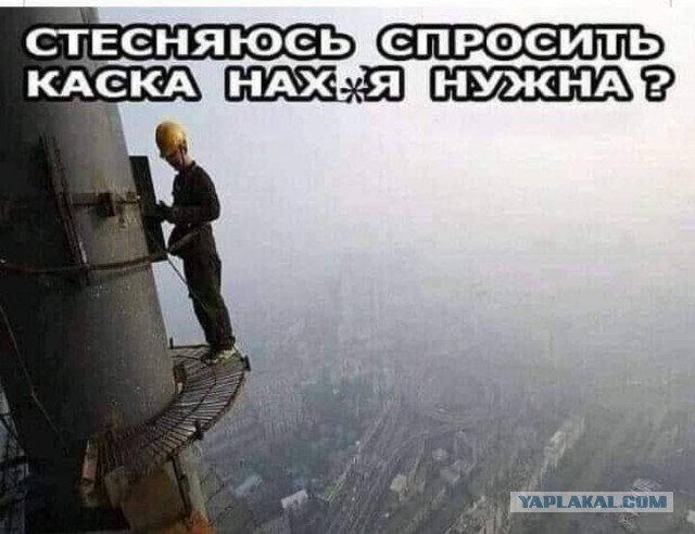 Всяческие картинки
