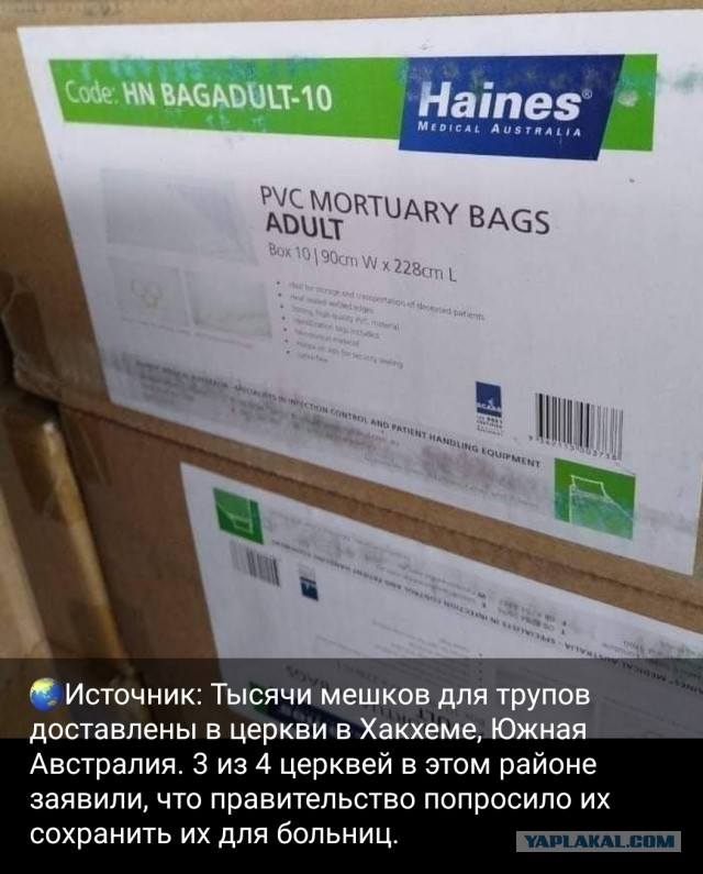 Зомби-апокалипсис 2022