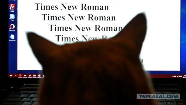 Шрифты Times New Roman и Arial заблокировали для клиентов из России