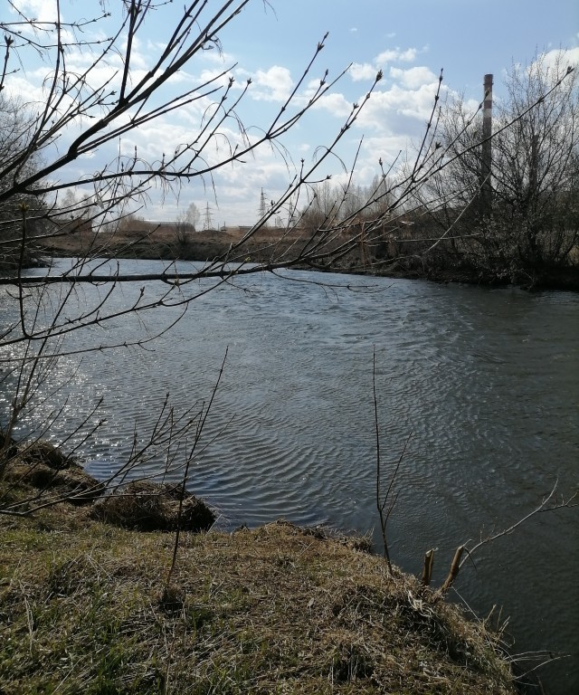 РСП