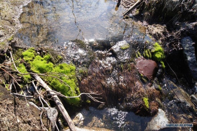 Кольский полуостров