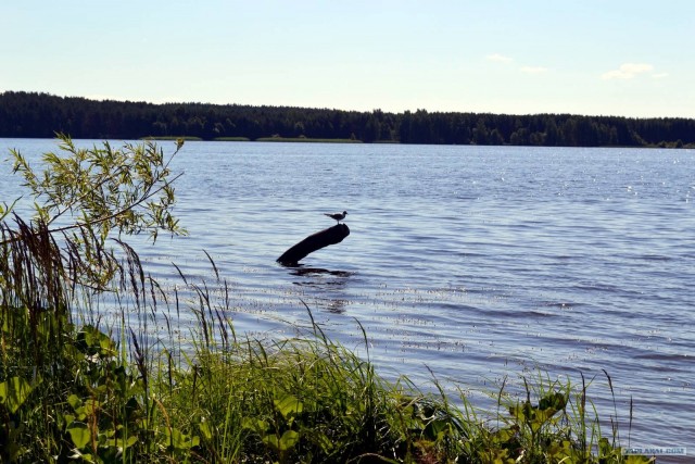 Отдых по-русски.