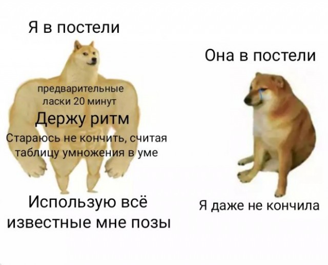 Картинки и мемы. Выходные близко, близко...