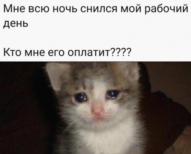 Картинки и мемы для настроения - 17