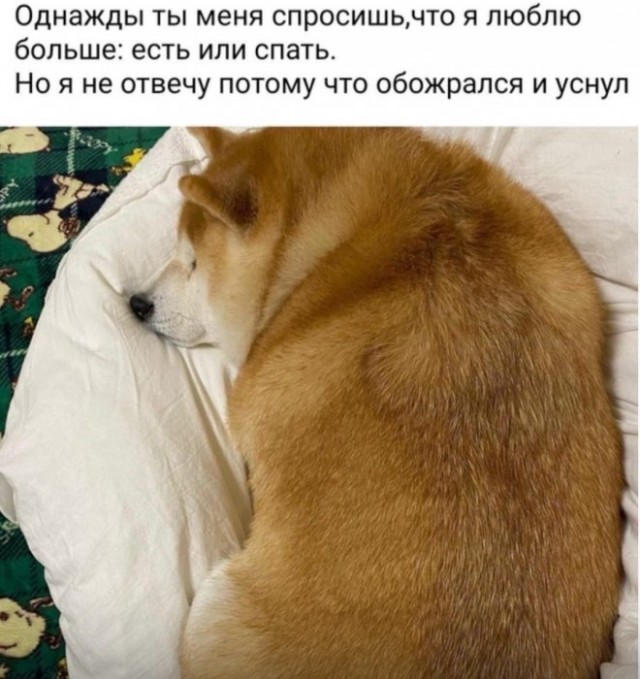 Картинки и мемы для настроения - 21