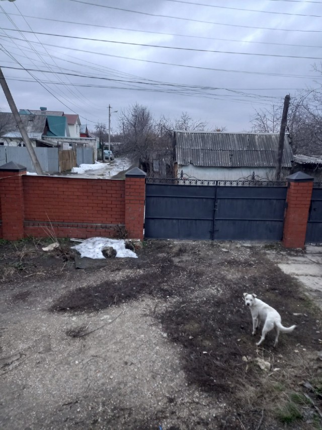 За окном