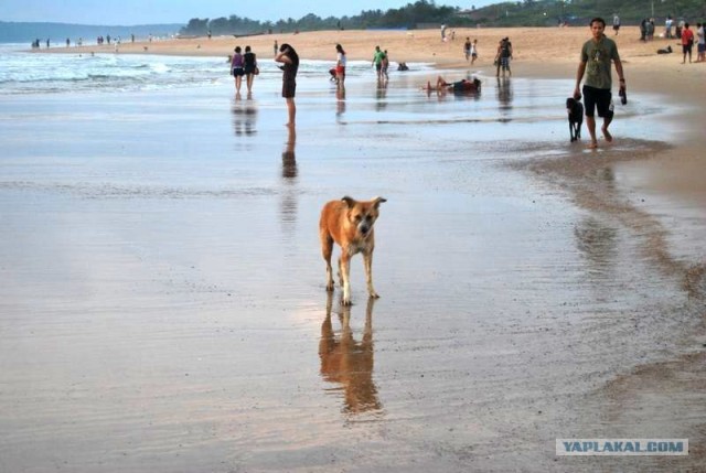 ГоА свои впечатления