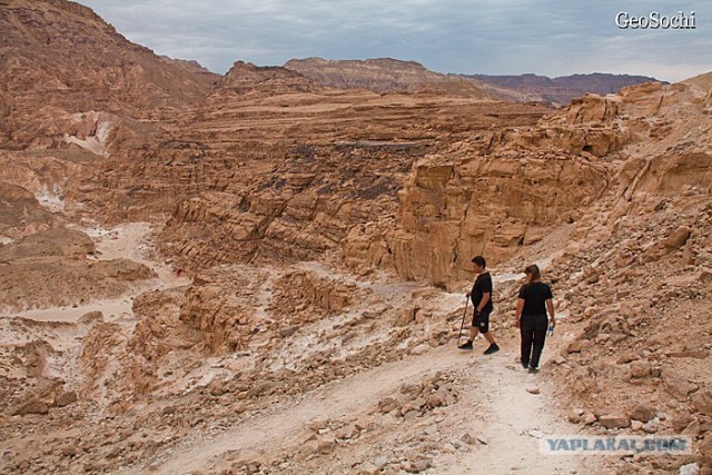 Синайские приключения. Шарм-эш-Шейх и окресности