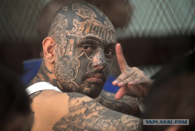 Креативный маразм от волгоградских рекламщиков