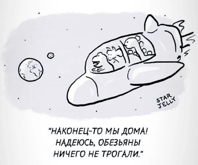 Пирамидки.