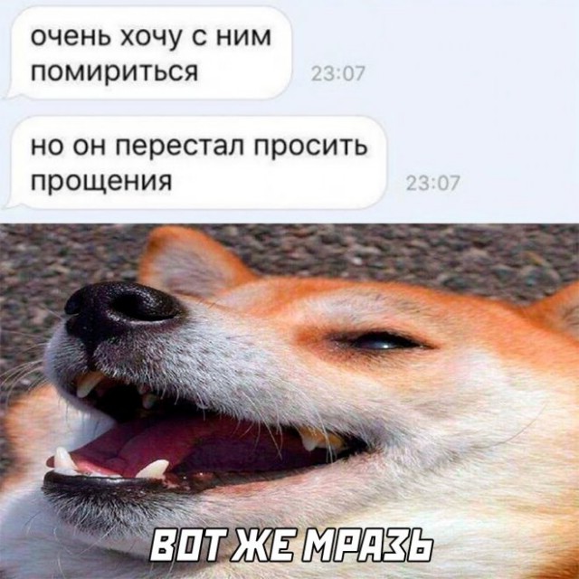 Картинки и мемы, всем хороших выходных