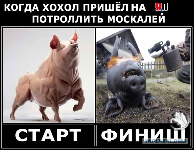 Белый дом выступил против прекращения огня на Украине по предложению КНР